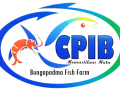 CPIB Ikan Nila