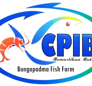 CPIB Ikan Nila