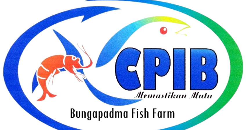 CPIB Ikan Nila